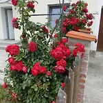 Weberhof Appartamento Egenhofen